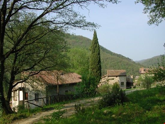 Agriturismo Tipico in Toscana - daniele zucca - daniele zucca