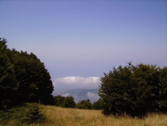 Guardia Piemontese