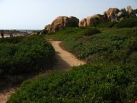 il viottolo per Portobello di Gallura