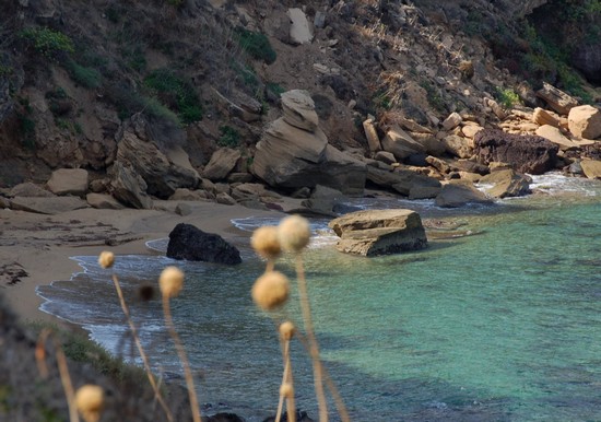 Lu Bagnu