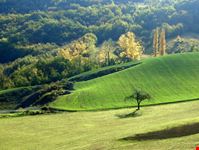 I dintorni dell'azienda agricola