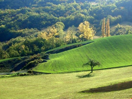 Marzabotto