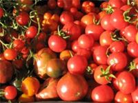 I prodotti biologici dell'azienda