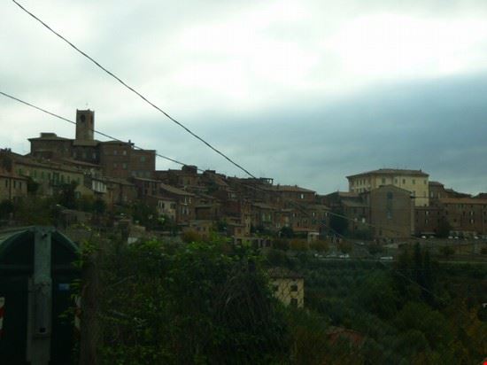  Città della Pieve LAVINIA BERTI LAVINIA BERTI