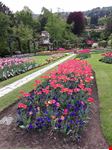 Stresa