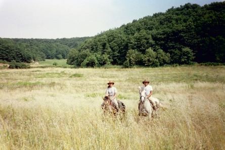 Passaggio in un campo