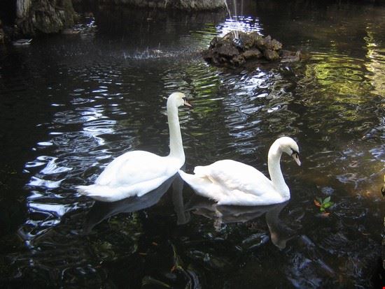 Bioparco Roma LAVINIA BERTI LAVINIA BERTI
