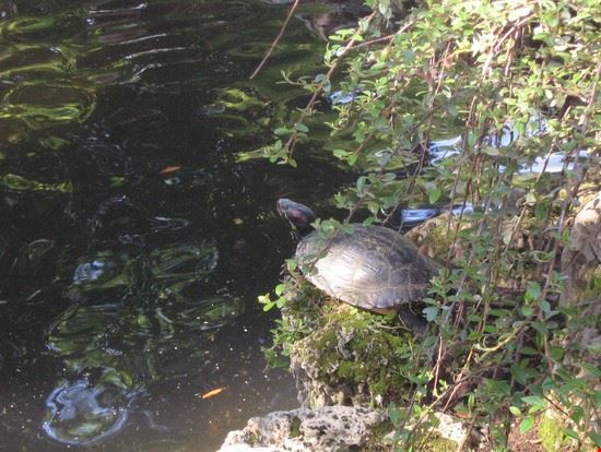 Bioparco Roma LAVINIA BERTI LAVINIA BERTI