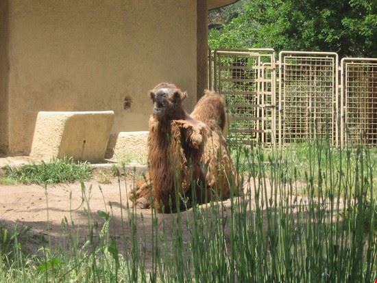 Bioparco Roma LAVINIA BERTI LAVINIA BERTI