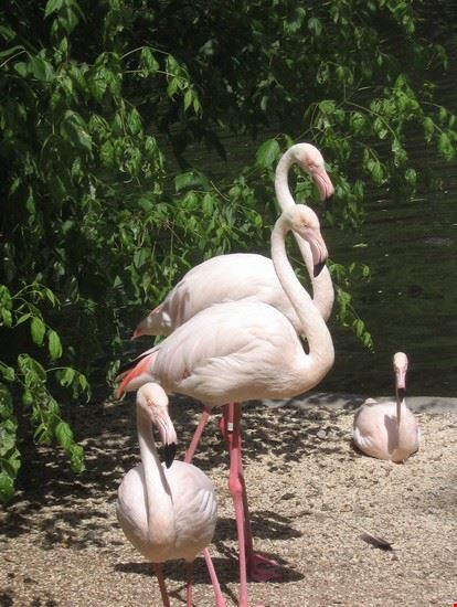Bioparco Roma LAVINIA BERTI LAVINIA BERTI