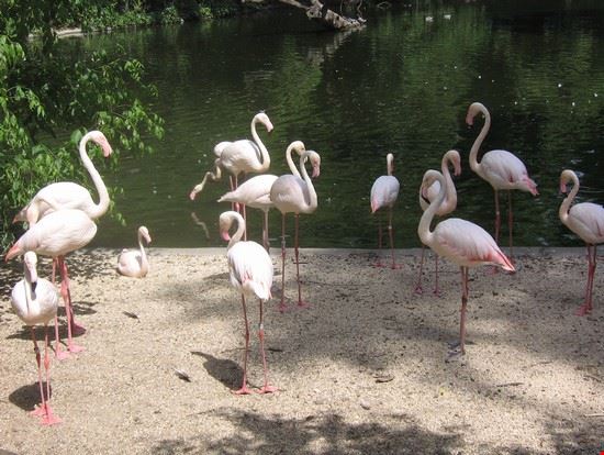 Bioparco Roma LAVINIA BERTI LAVINIA BERTI