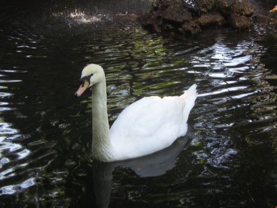 Bioparco Roma LAVINIA BERTI LAVINIA BERTI