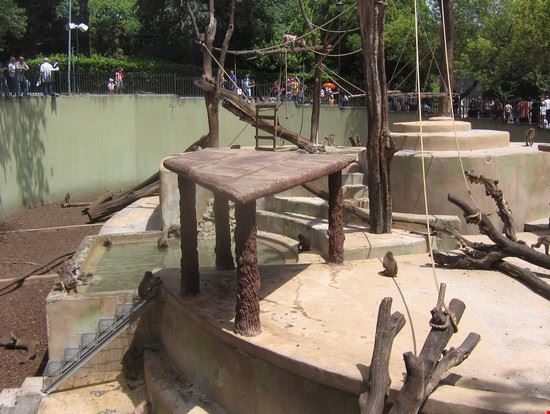 Bioparco Roma LAVINIA BERTI LAVINIA BERTI