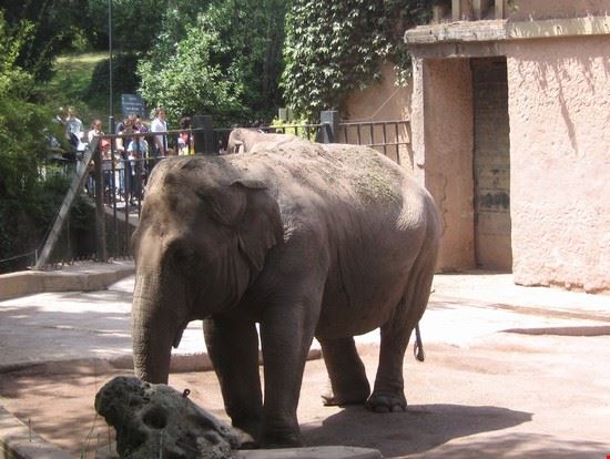 Bioparco Roma LAVINIA BERTI LAVINIA BERTI