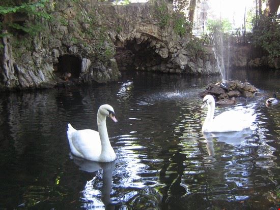 Bioparco Roma LAVINIA BERTI LAVINIA BERTI