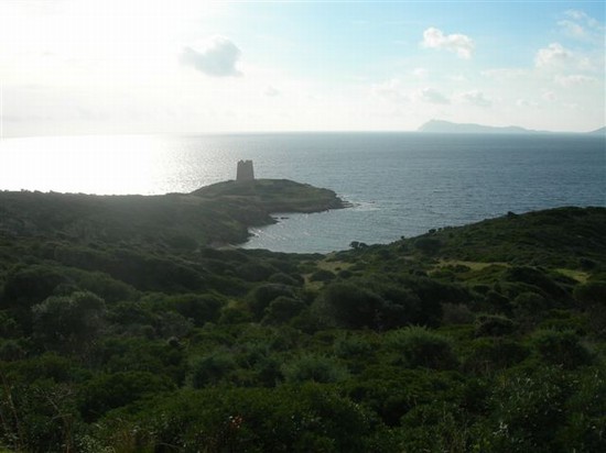 le torri