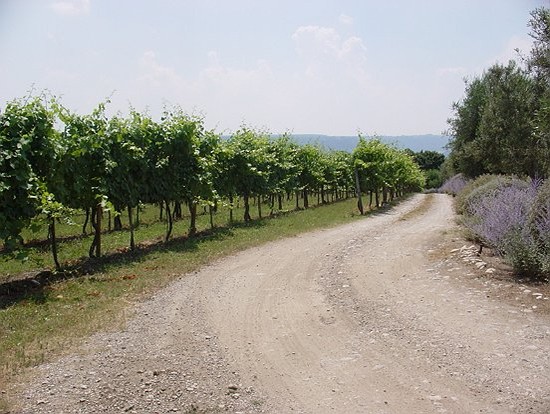 Tuscia - Umbria Tour