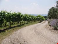 Tuscia - Umbria Tour