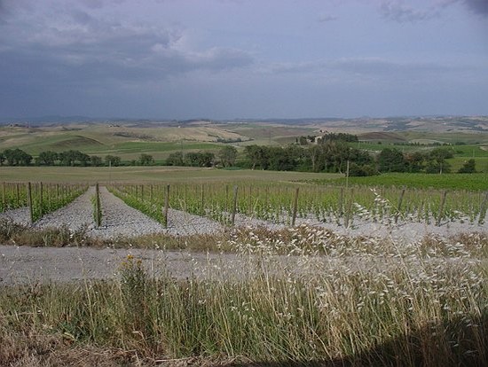 Toscana Tour