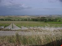 Toscana Tour
