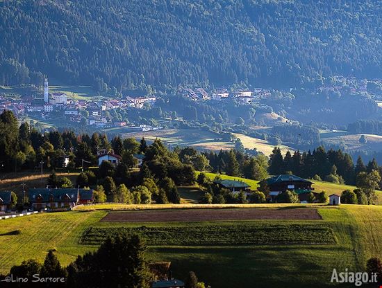 Asiago Asiago  