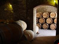 Franciacorta Tour