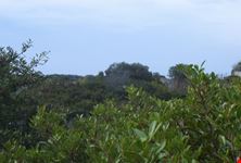 Parco Regionale Litorale di Ugento foto1