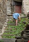 vita nel paese