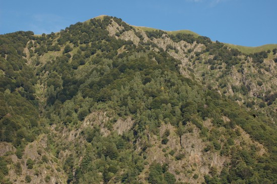 la zona del Parco