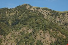 la zona del Parco
