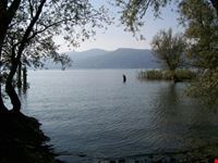 Il lago Maggiore