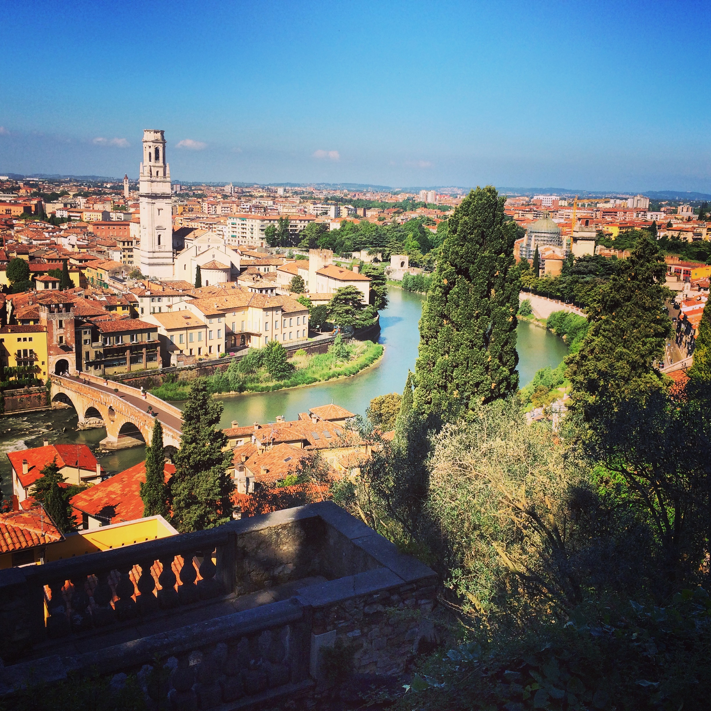 Verona food and wine walking tour with visit of the city