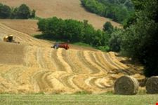 I dintorni dell'azienda agricola