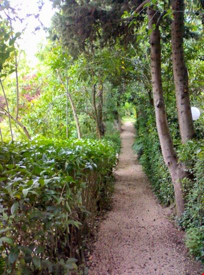 Villa dei Ligustri, giardino pittoresco - Albert Colazilli - Albert Colazilli