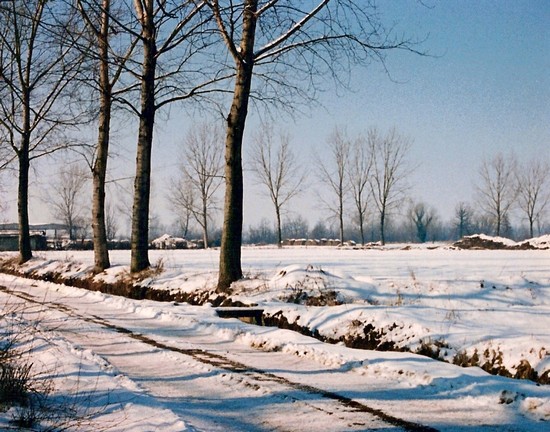 qualche raggio di sole