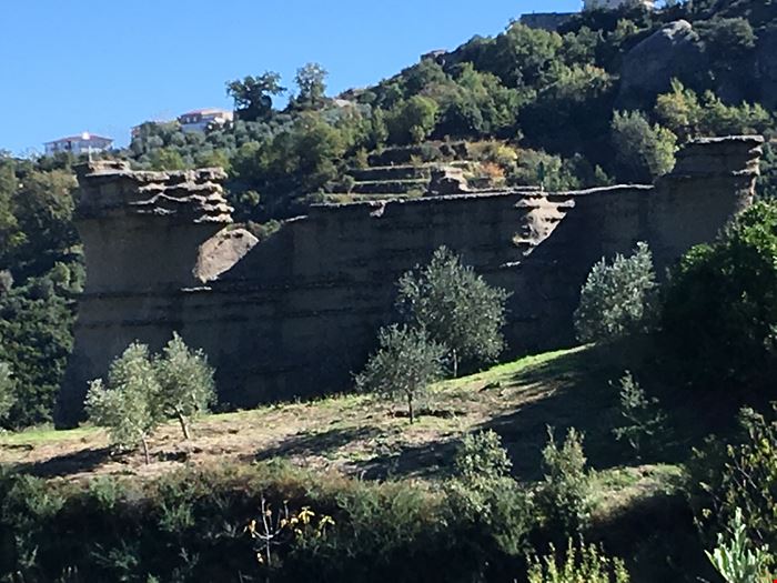 Mandatoriccio