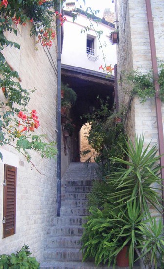 scorcio