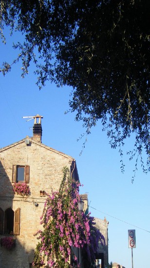 torre di palme