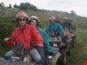 Escursioni in gruppo