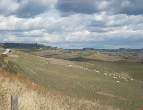 Val d'Orcia - Alessandro Nencioni - Alessandro Nencioni