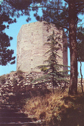 Torre di Federico