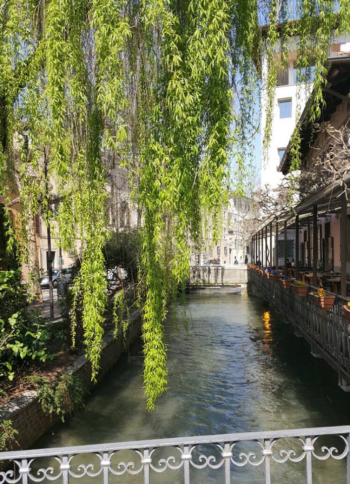 roggia di Udine