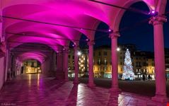 Piazza Libertà Christmas