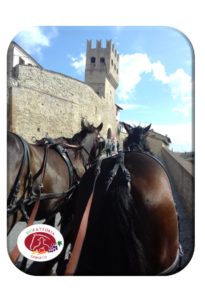 Montefalco