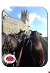 Montefalco