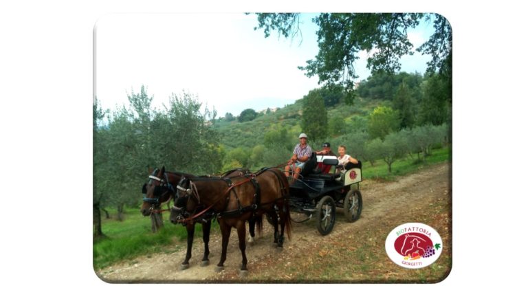 Montefalco