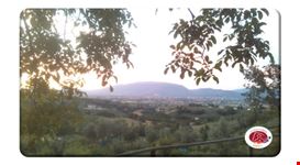 Montefalco
