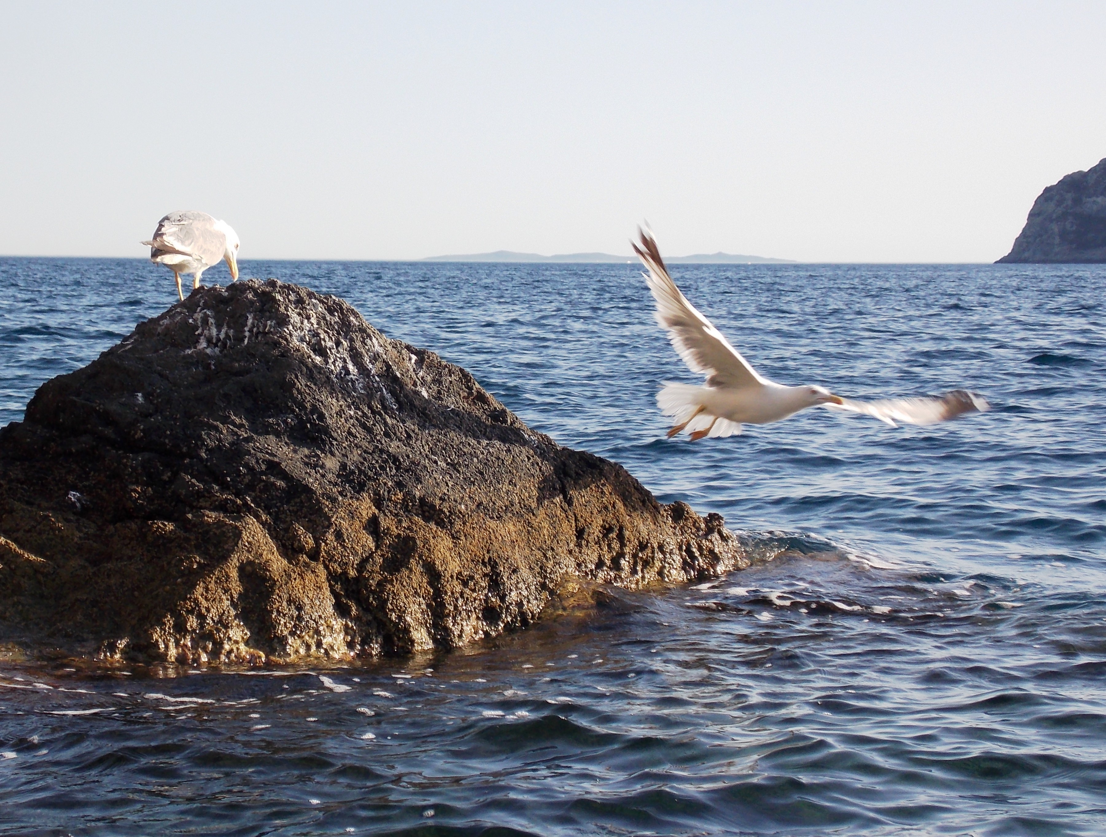Gite ed escursioni in mare