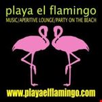 Playa el flamingo/fashion people
