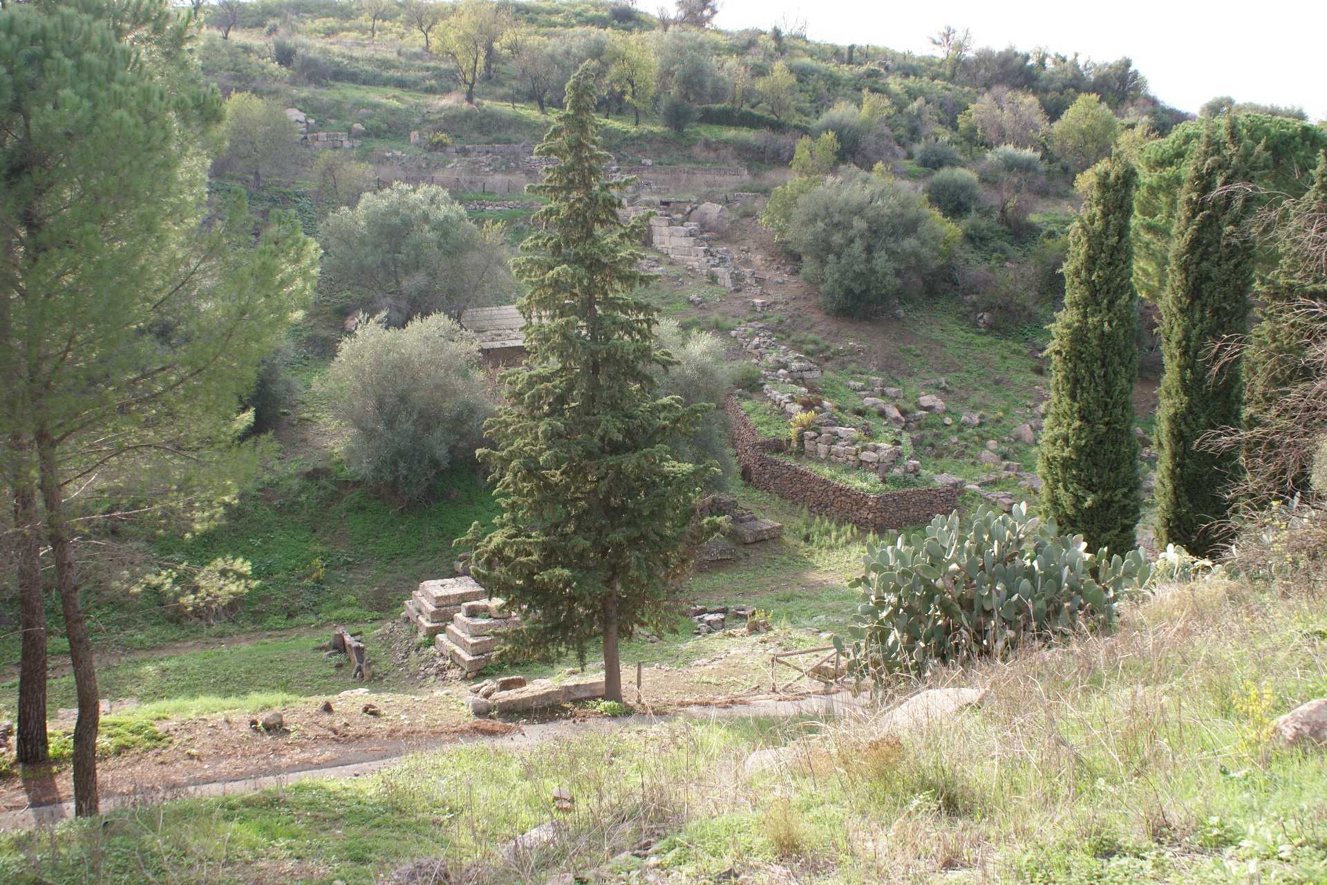 area archeologica